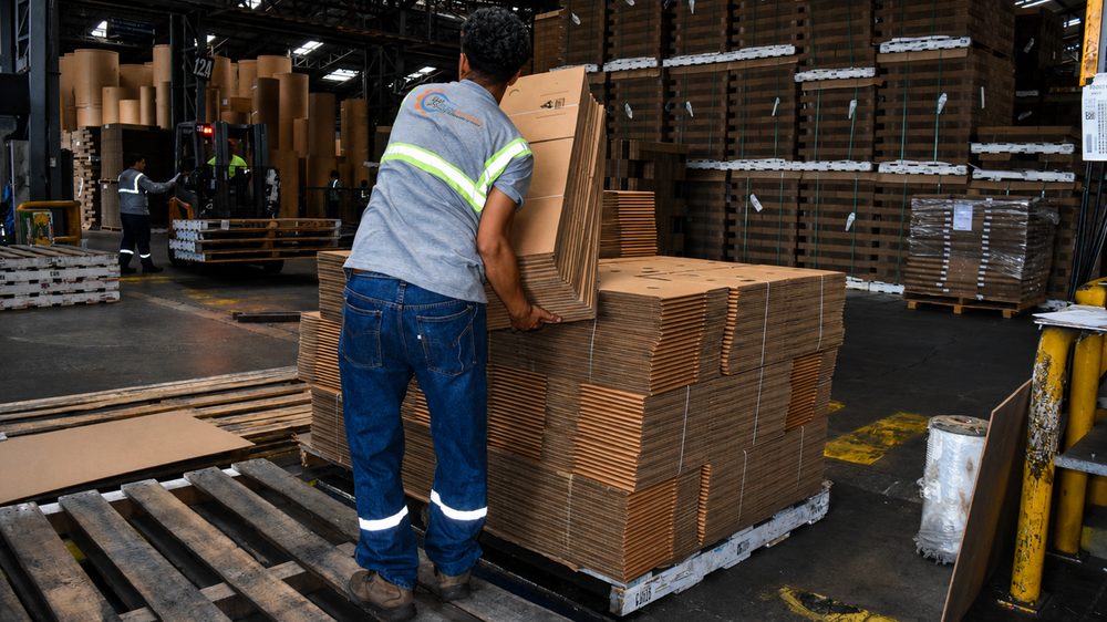 Estibador de FLEXESTIBAS cargando mercadería